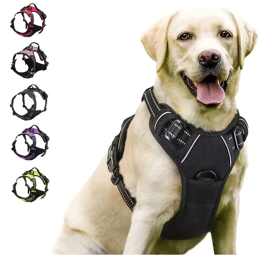 Haleva™ Canine Essentials Collection – Premium Dog Gear for Every Adventure