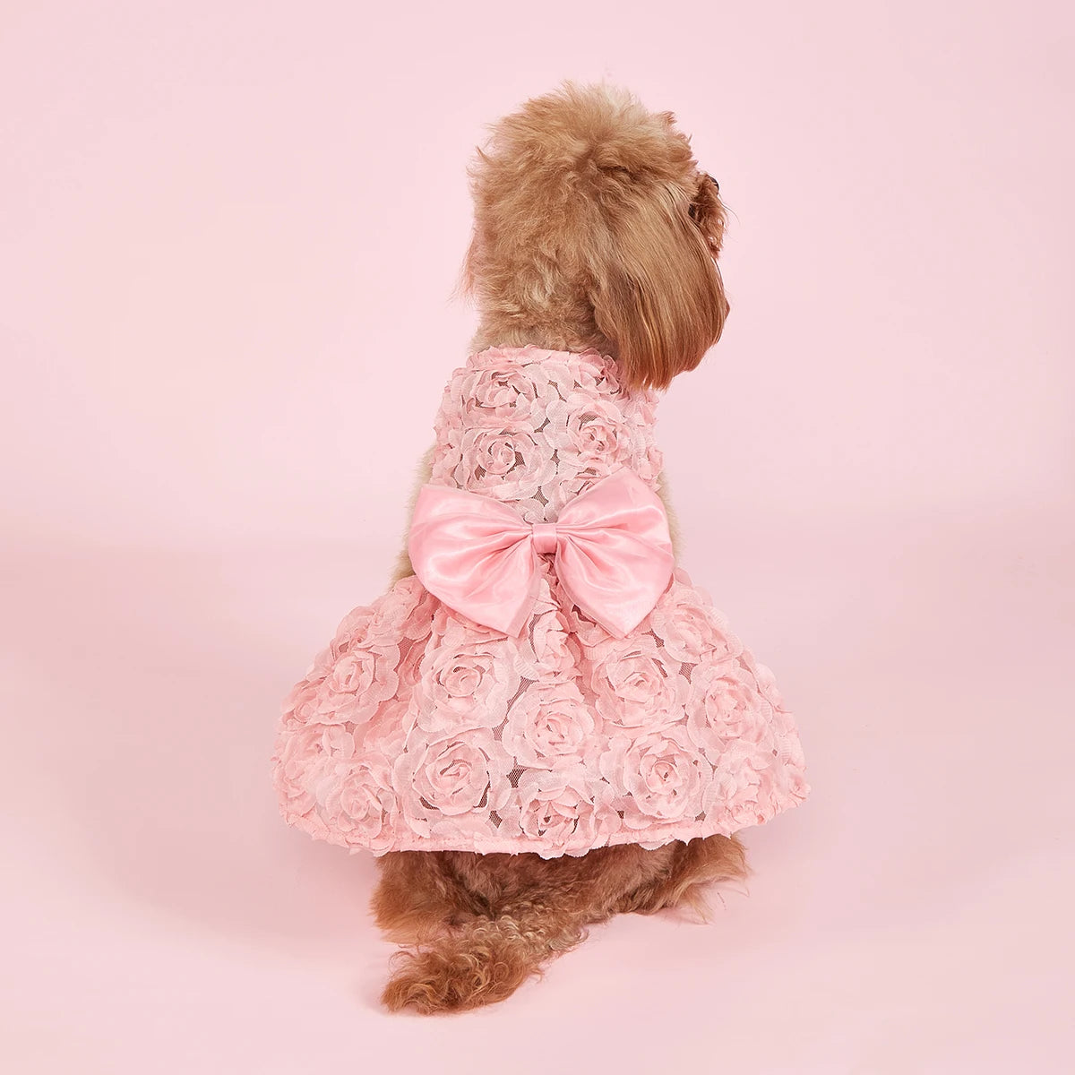 Haleva™ BelleRose Princess Dress