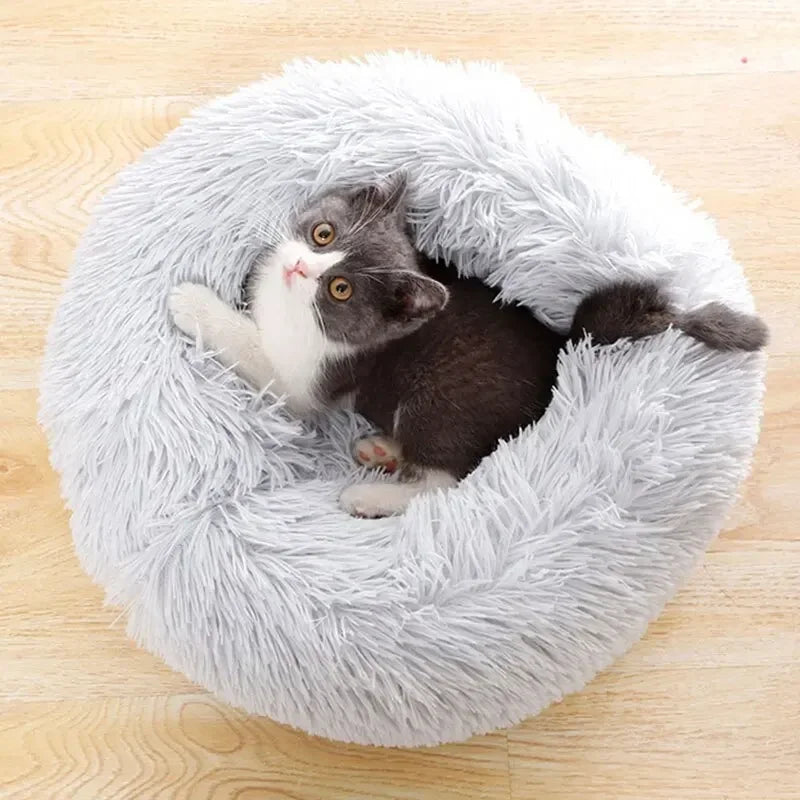 Haleva™ PurrfectDream Luxury Cat Bed