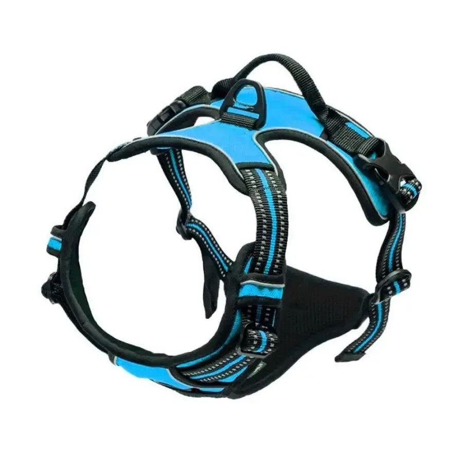 Haleva™ Canine Essentials Collection – Premium Dog Gear for Every Adventure