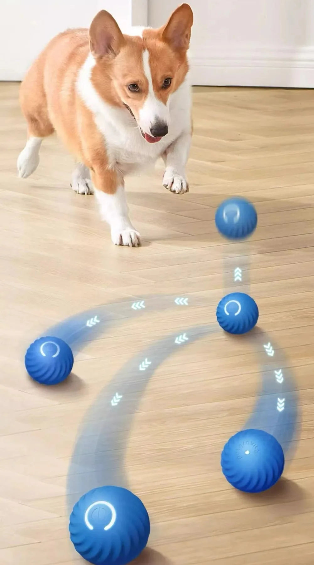 Haleva™ Smart Motion Dog Ball