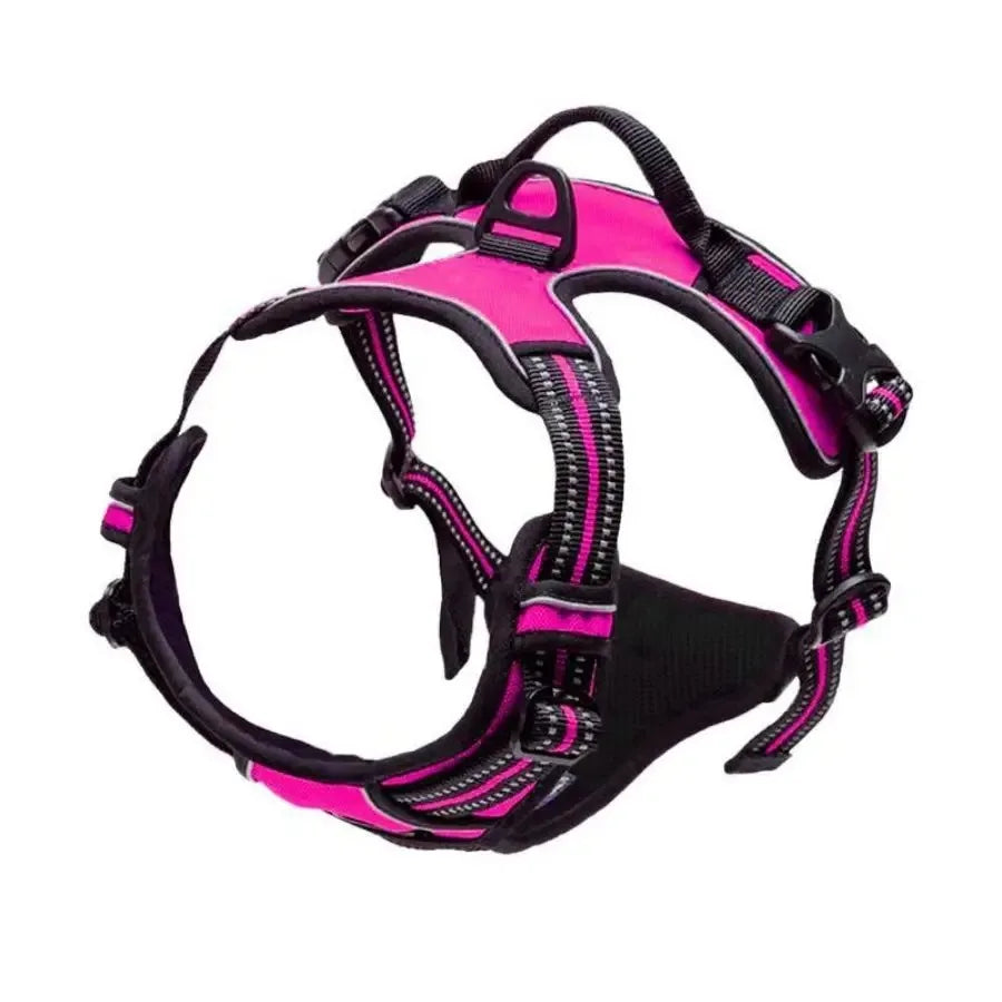 Haleva™ Canine Essentials Collection – Premium Dog Gear for Every Adventure