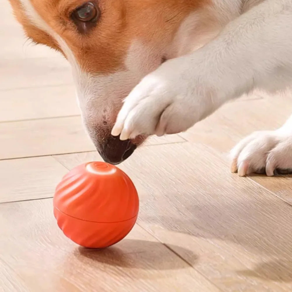 Haleva™ Smart Motion Dog Ball