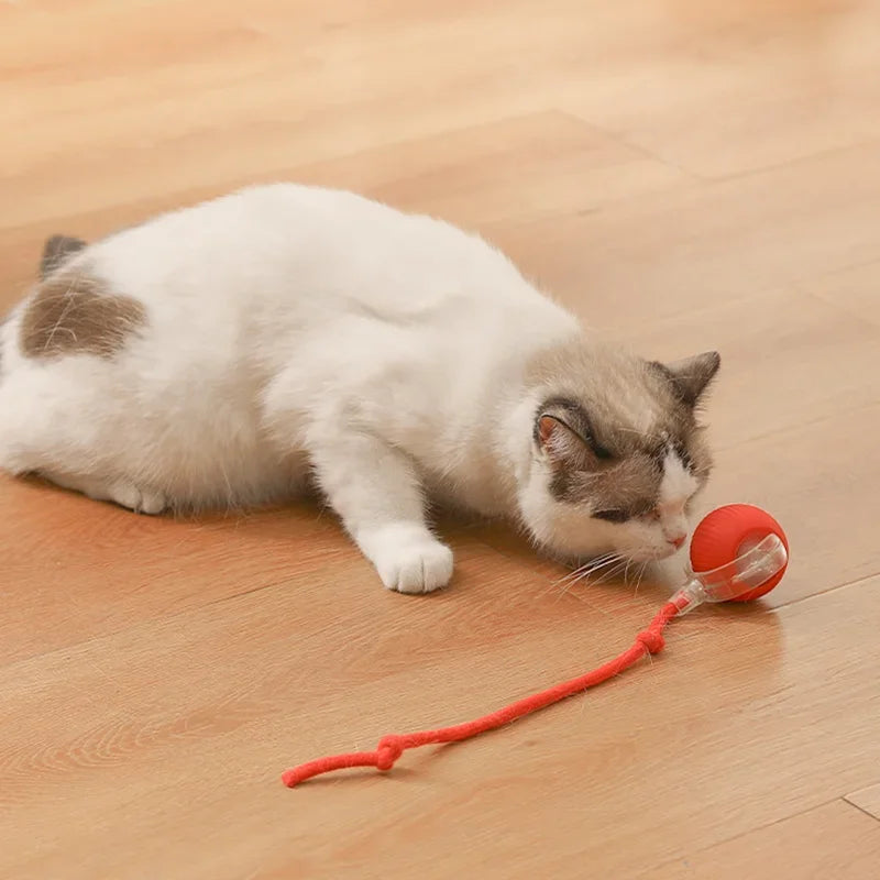 Haleva™ Smart Rechargeable Cat Toy Ball