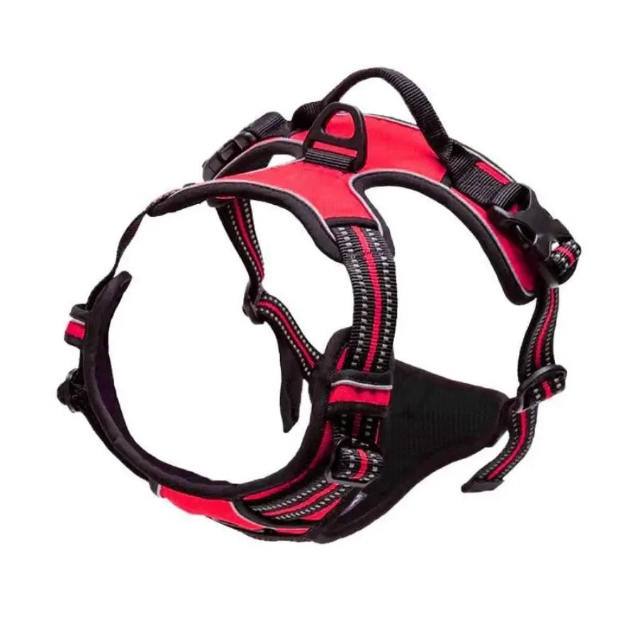 Haleva™ Canine Essentials Collection – Premium Dog Gear for Every Adventure