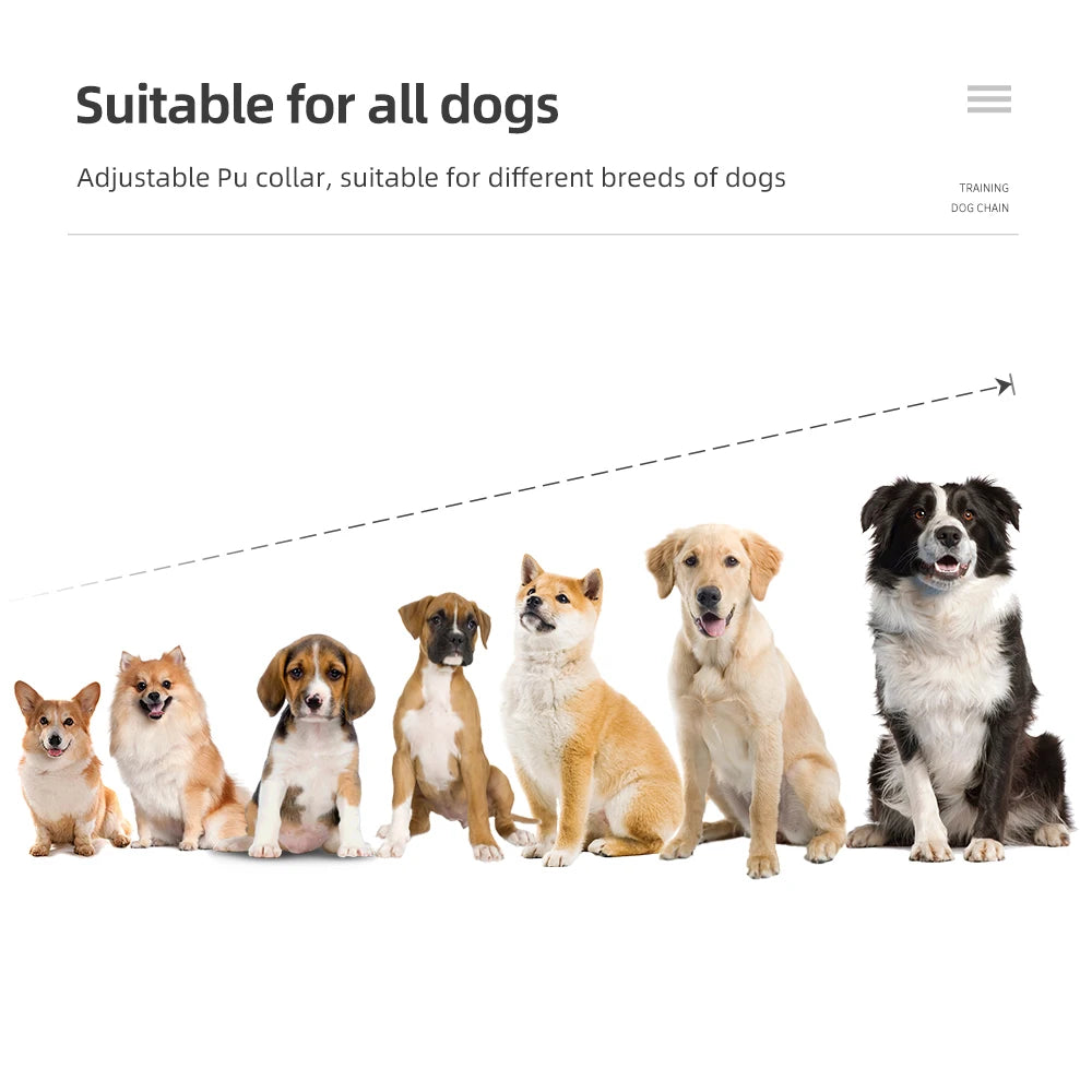 Haleva™ ProTrain Collar – Humane, Smart & Waterproof