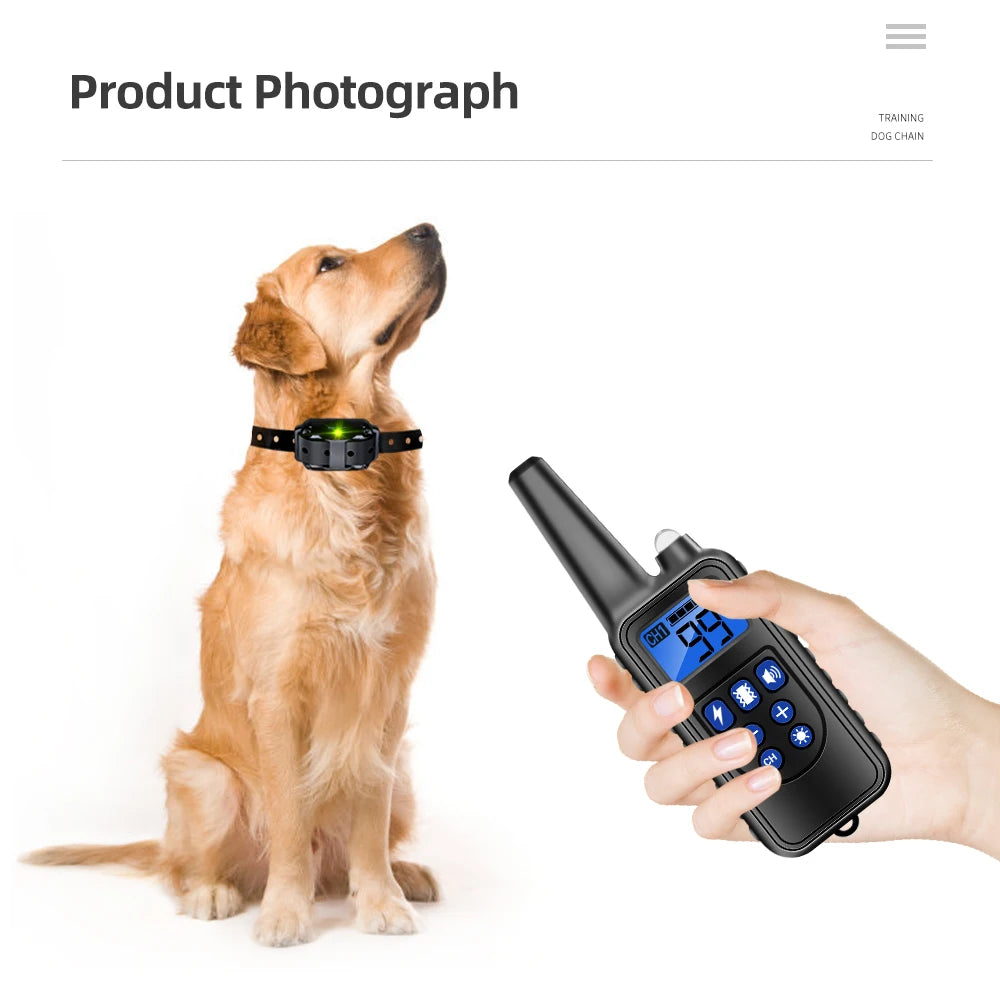 Haleva™ ProTrain Collar – Humane, Smart & Waterproof