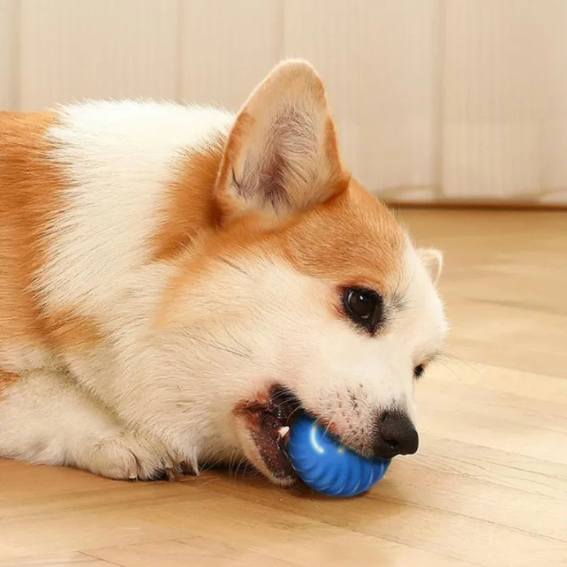 Haleva™ Smart Motion Dog Ball