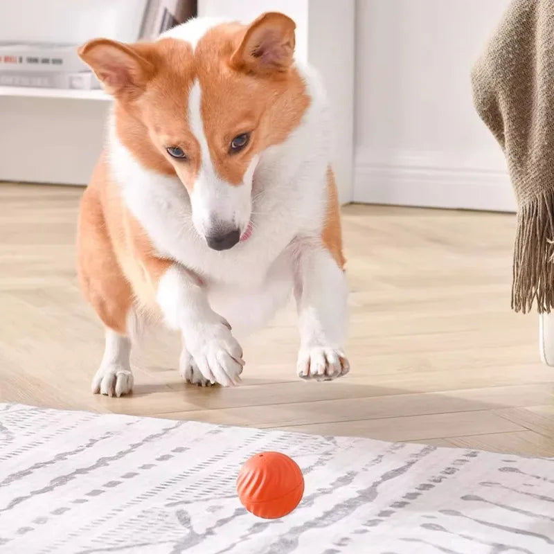 Haleva™ Smart Motion Dog Ball