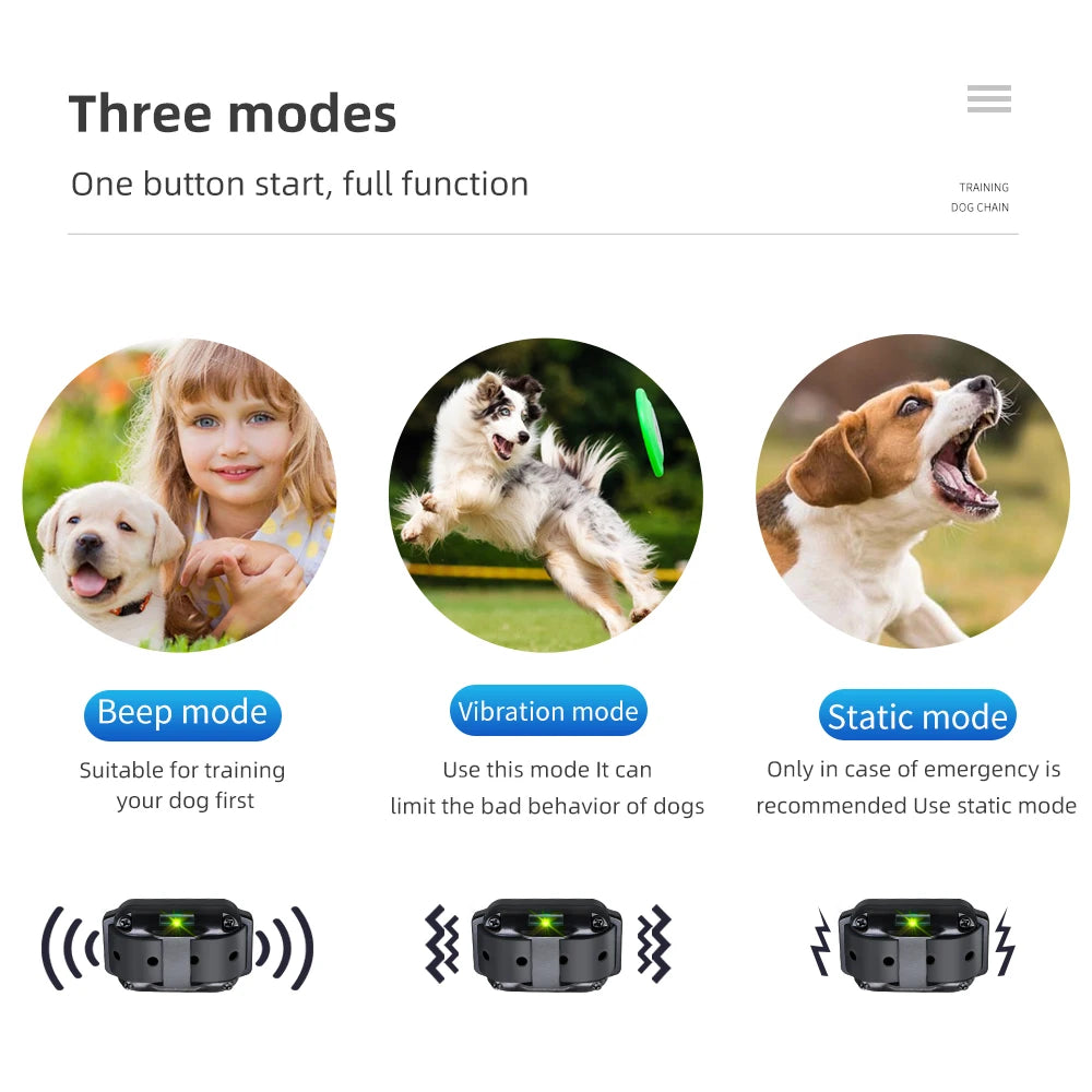 Haleva™ ProTrain Collar – Humane, Smart & Waterproof