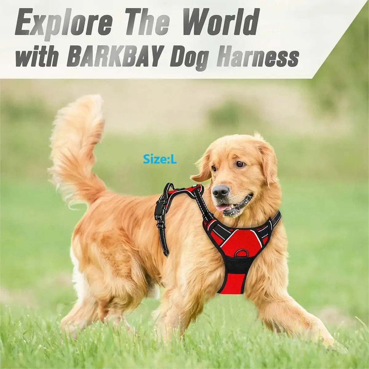 Haleva™ Canine Essentials Collection – Premium Dog Gear for Every Adventure