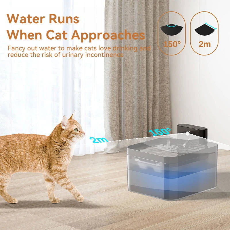 Haleva™ AquaPura Smart Fountain