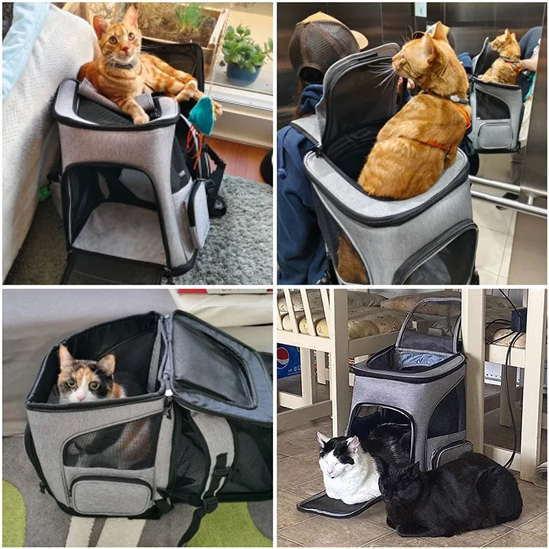 Haleva™ Breathable Pet Cat Carrier Backpack – Travel in Comfort & Style