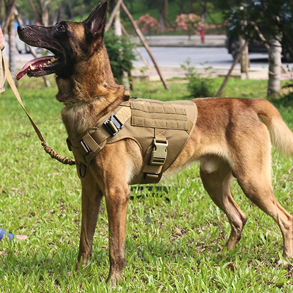 Haleva™ Tactical Harness & Leash Set – Built for Dogs, Engineered for Control