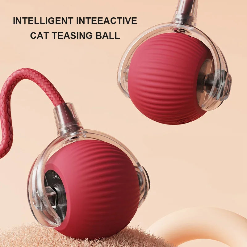 Haleva™ Smart Rechargeable Cat Toy Ball