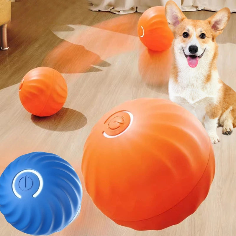 Haleva™ Smart Motion Dog Ball