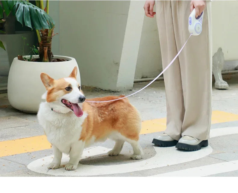 Haleva™ GlowGrip Leash