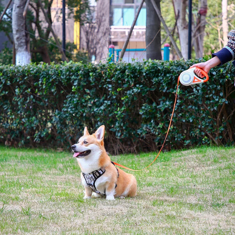 Haleva™ NightGlow Pro Retractable Leash