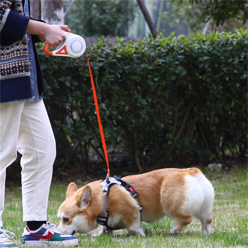 Haleva™ NightGlow Pro Retractable Leash