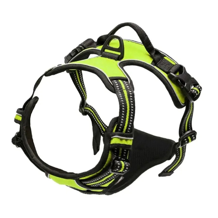 Haleva™ Canine Essentials Collection – Premium Dog Gear for Every Adventure