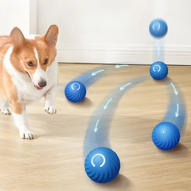 Haleva™ Smart Motion Dog Ball