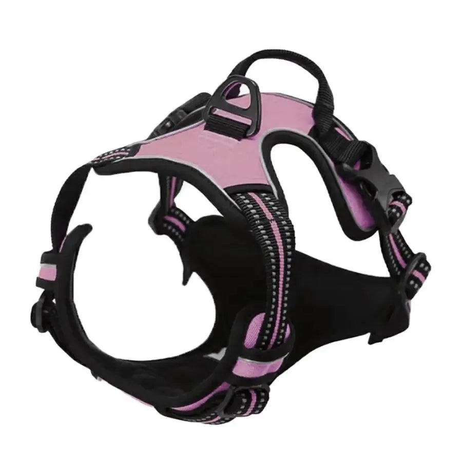 Haleva™ Canine Essentials Collection – Premium Dog Gear for Every Adventure