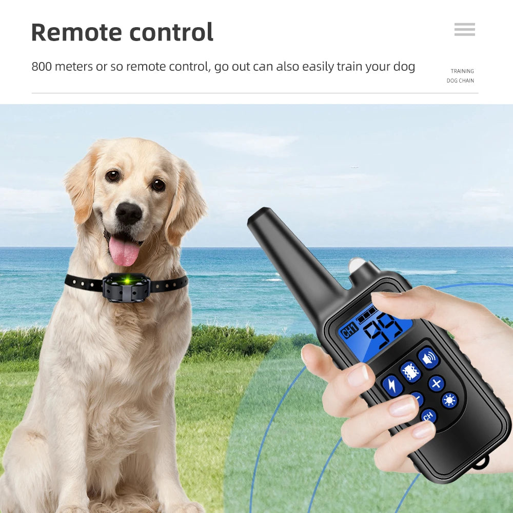 Haleva™ ProTrain Collar – Humane, Smart & Waterproof