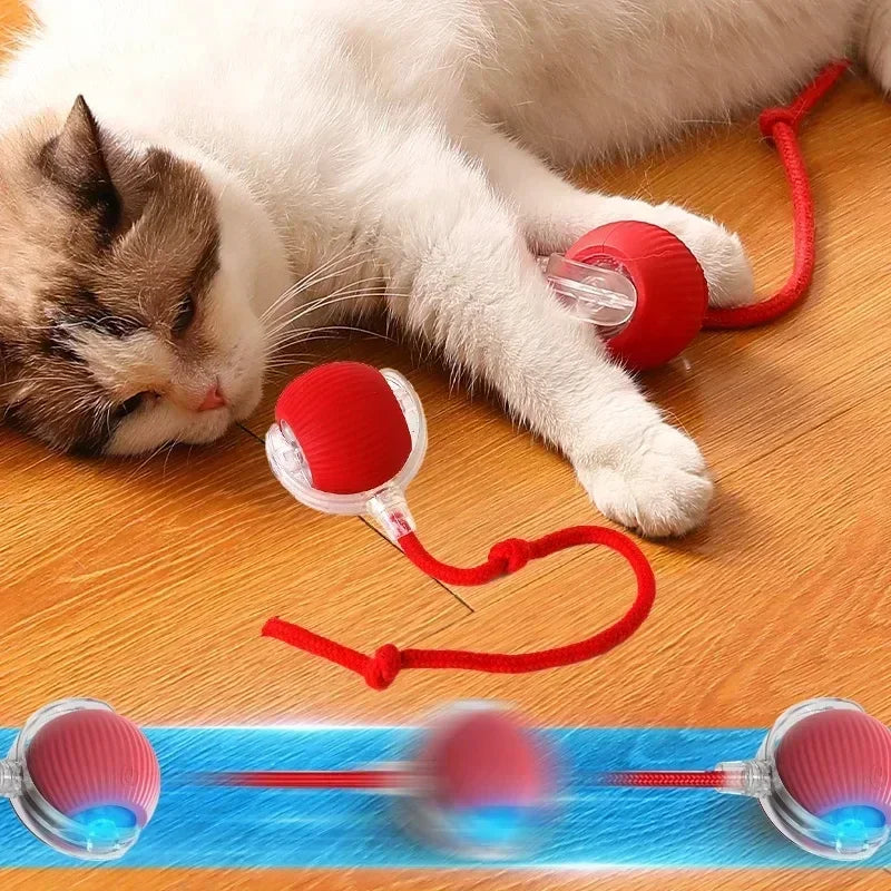 Haleva™ Smart Rechargeable Cat Toy Ball