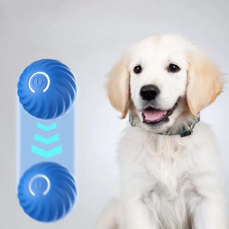 Haleva™ Smart Motion Dog Ball