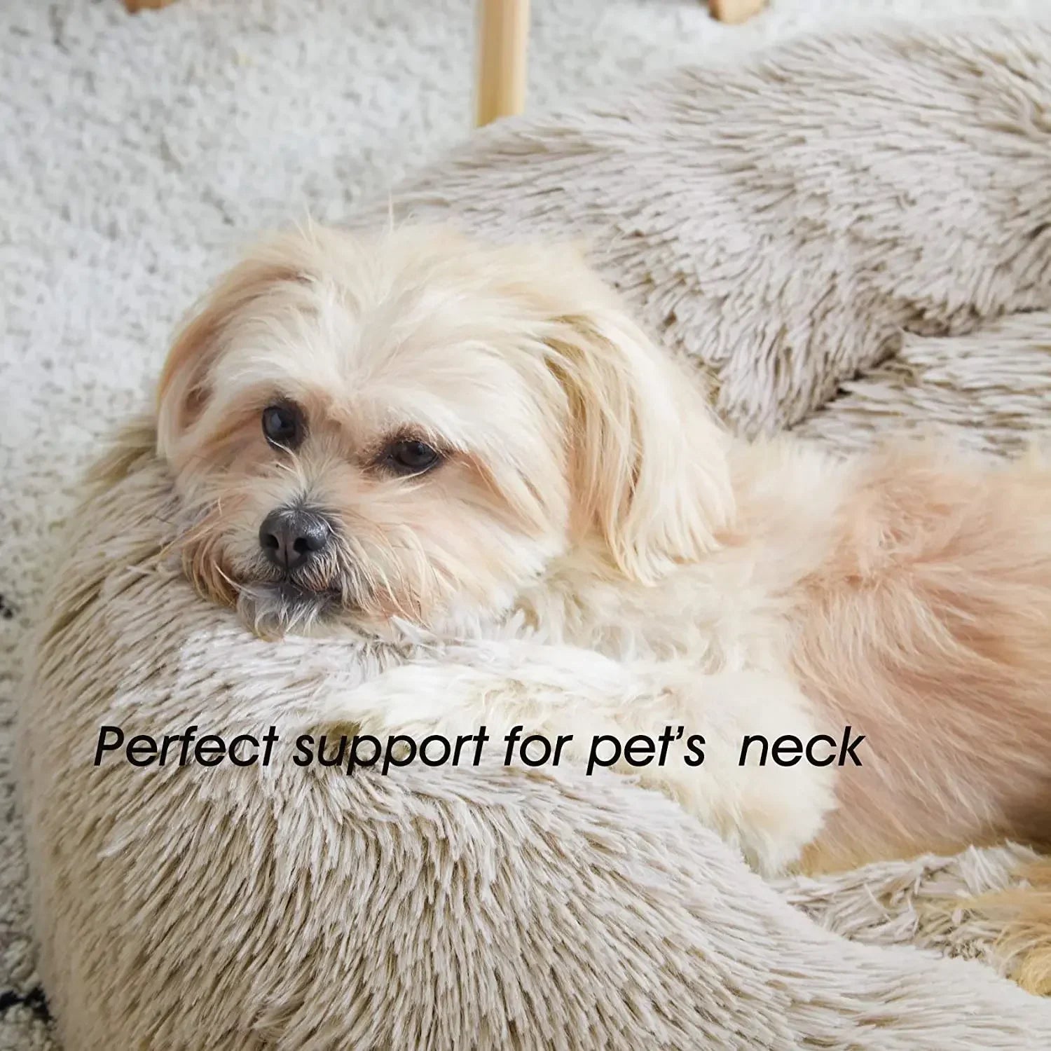 Haleva™ PurrfectDream Luxury Cat Bed