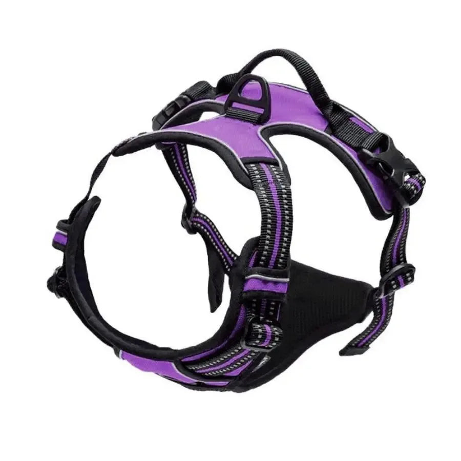 Haleva™ Canine Essentials Collection – Premium Dog Gear for Every Adventure