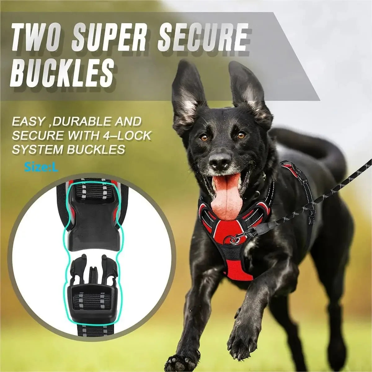 Haleva™ Canine Essentials Collection – Premium Dog Gear for Every Adventure