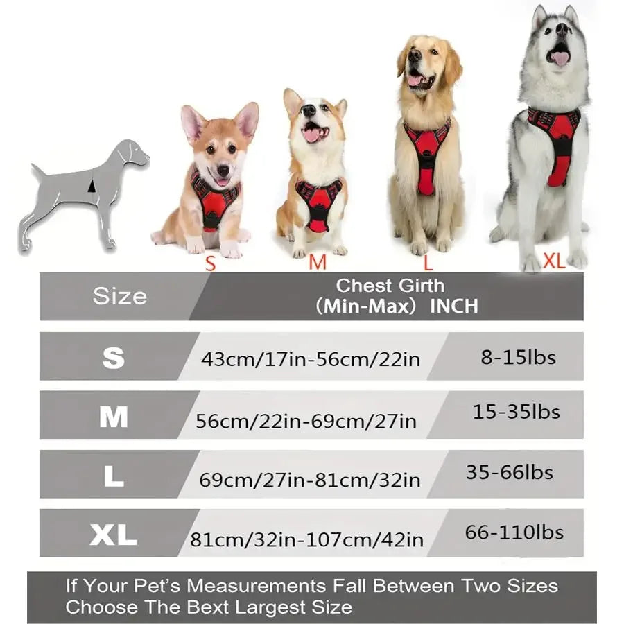 Haleva™ Canine Essentials Collection – Premium Dog Gear for Every Adventure