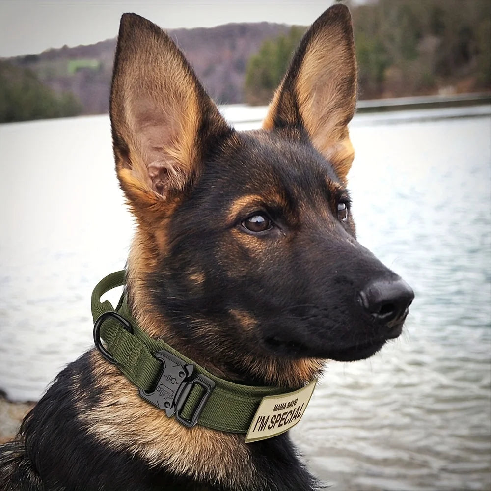 Haleva™ K9 Commando Pro Collar – Tactical Control for Working & Active Dogs