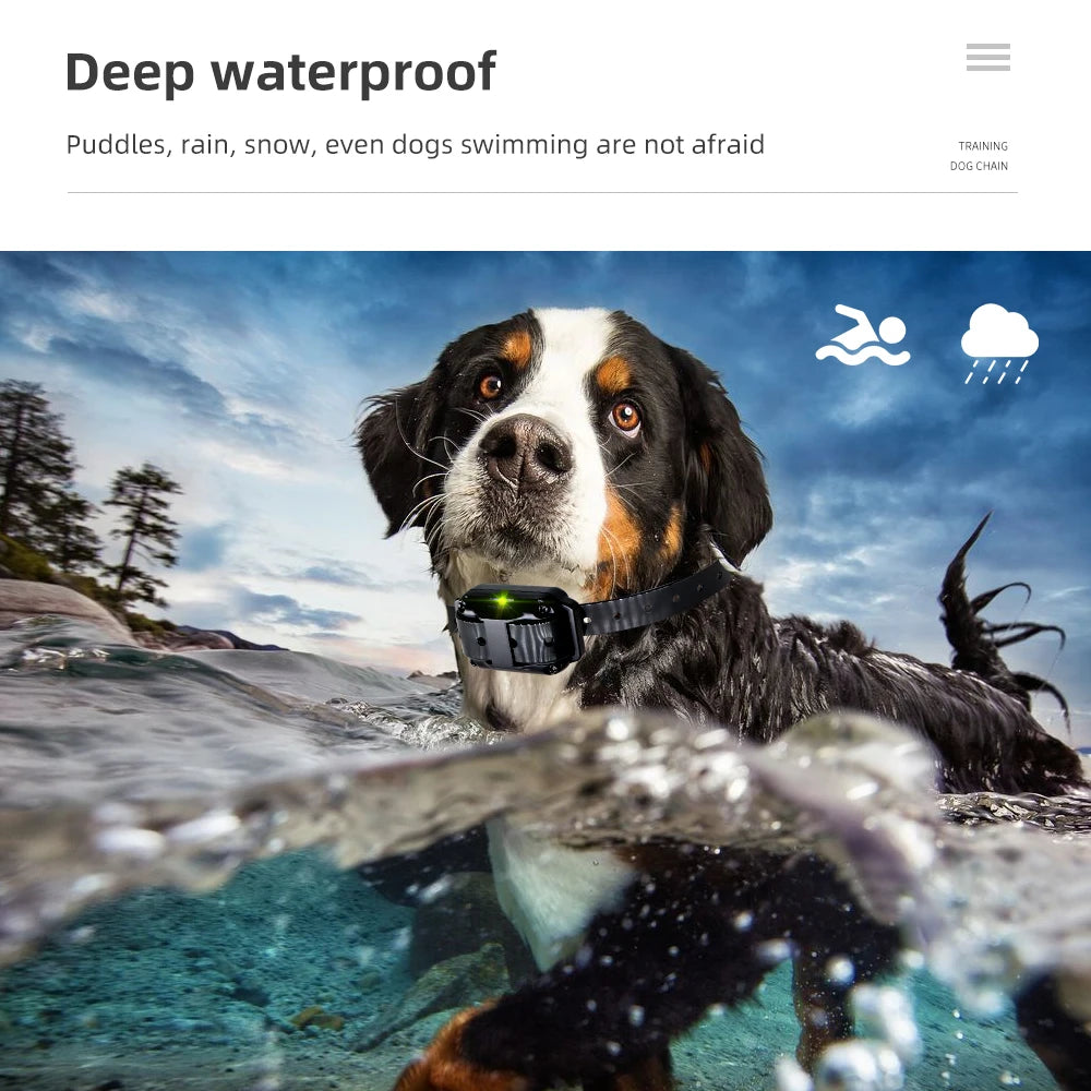 Haleva™ ProTrain Collar – Humane, Smart & Waterproof
