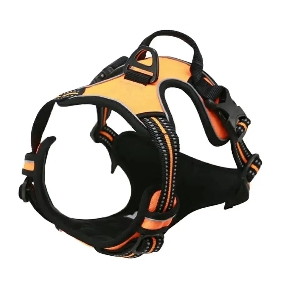 Haleva™ Canine Essentials Collection – Premium Dog Gear for Every Adventure