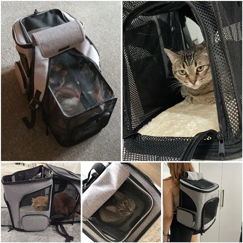 Haleva™ Breathable Pet Cat Carrier Backpack – Travel in Comfort & Style