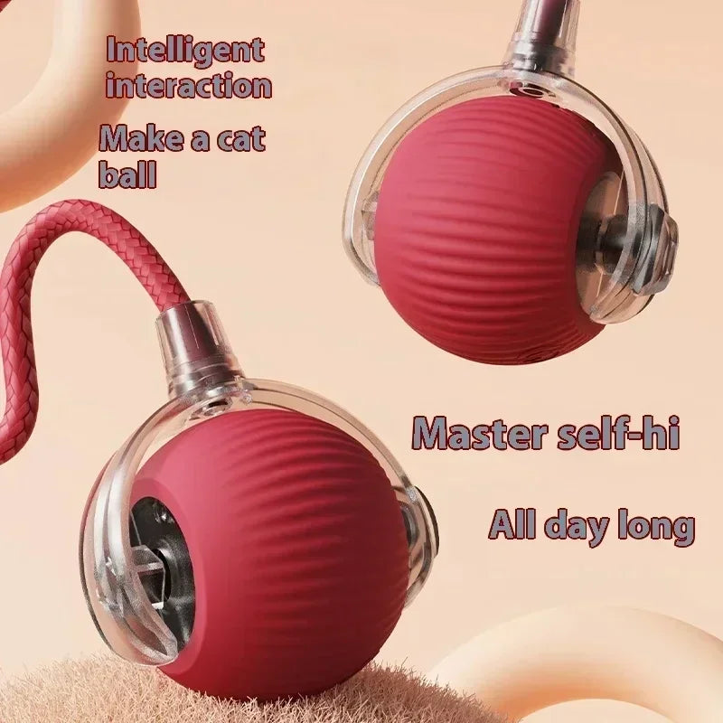 Haleva™ Smart Rechargeable Cat Toy Ball