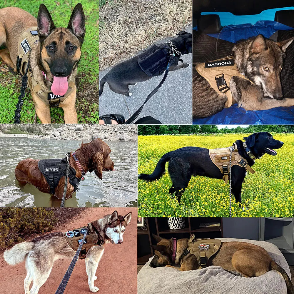 Haleva™ K9 Commando Pro – Tactical Dog Harness for Elite Performance