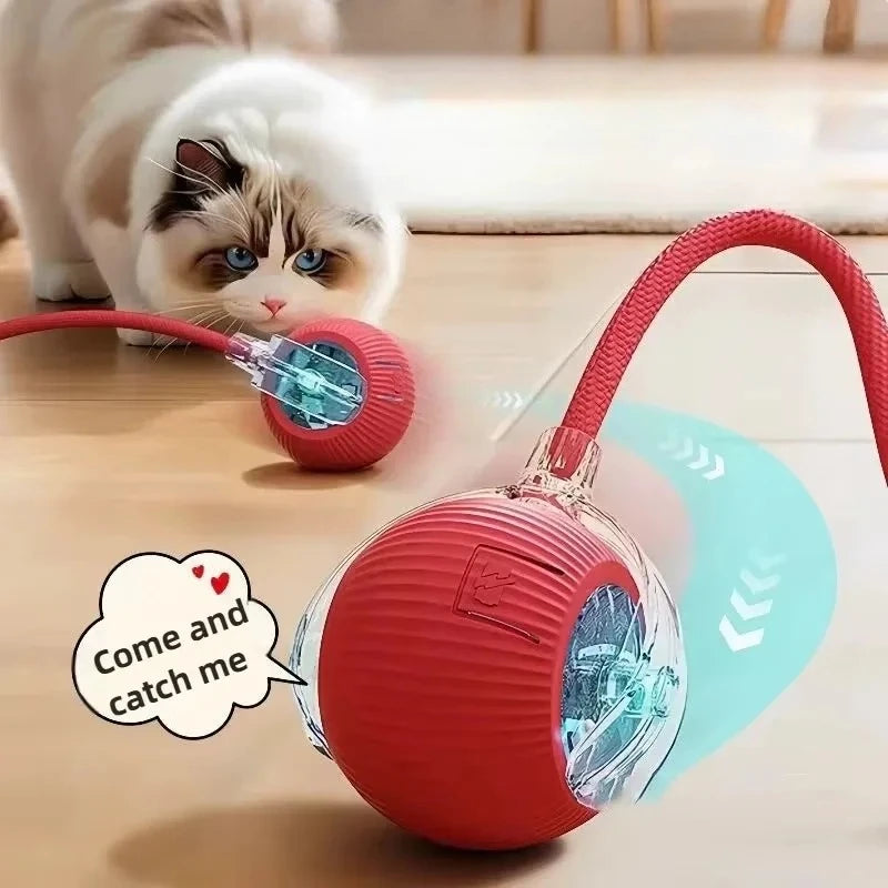 Haleva™ Smart Rechargeable Cat Toy Ball