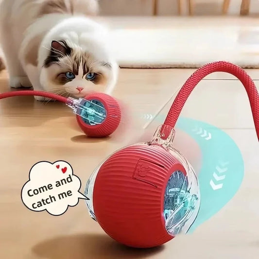 Haleva™ Smart Rechargeable Cat Toy Ball