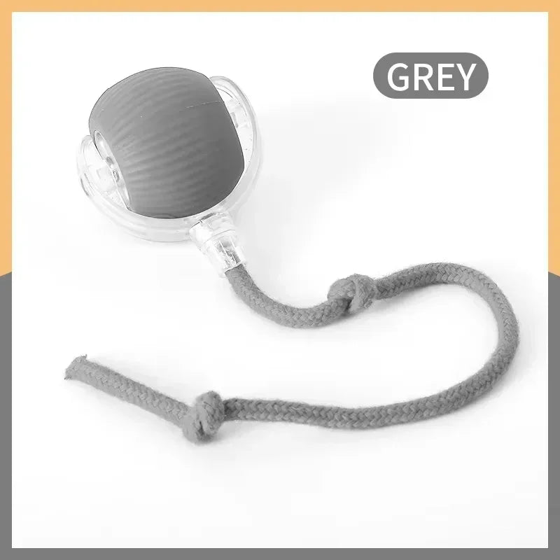 Haleva™ Smart Rechargeable Cat Toy Ball