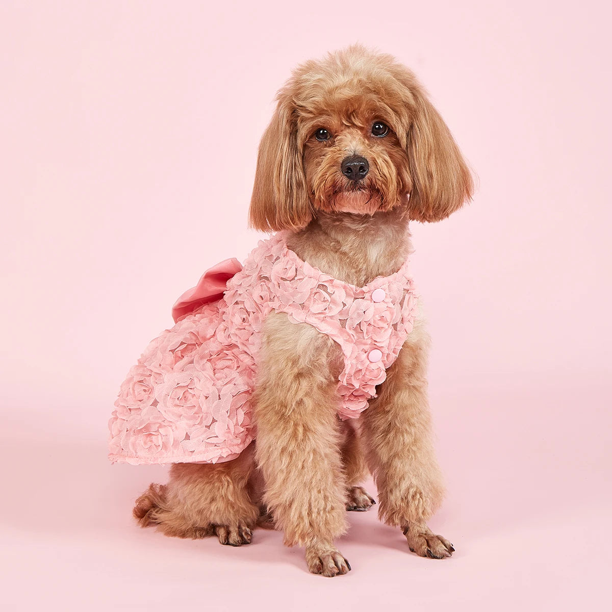 Haleva™ BelleRose Princess Dress