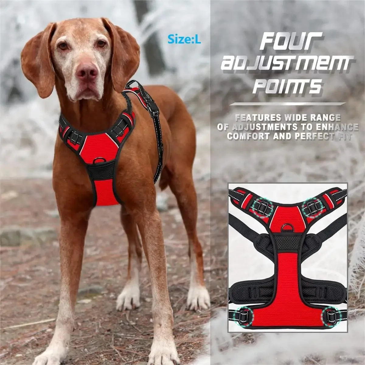 Haleva™ Canine Essentials Collection – Premium Dog Gear for Every Adventure
