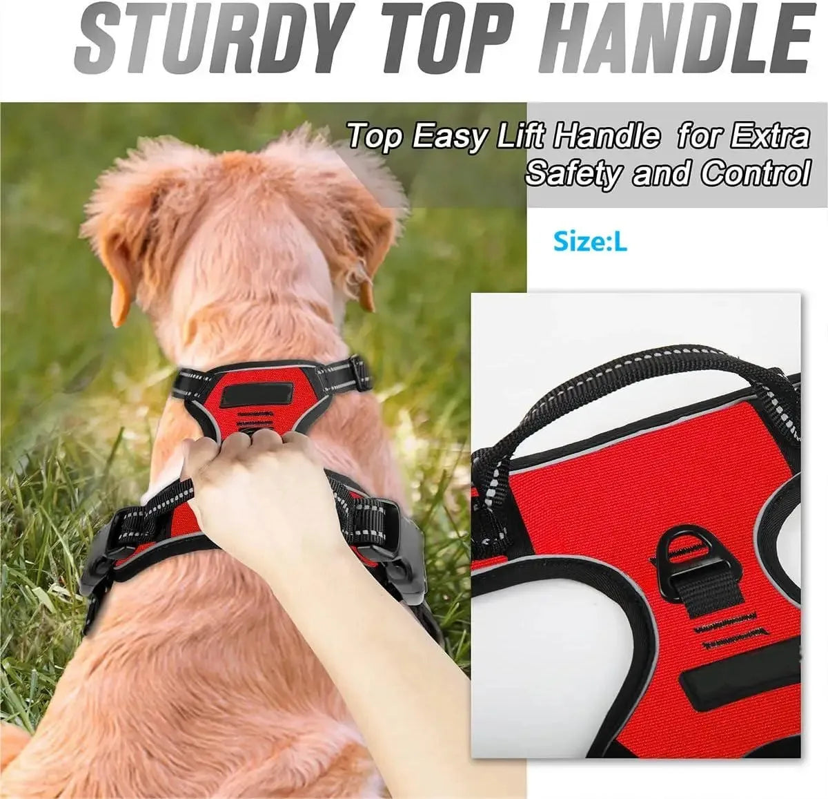 Haleva™ Canine Essentials Collection – Premium Dog Gear for Every Adventure
